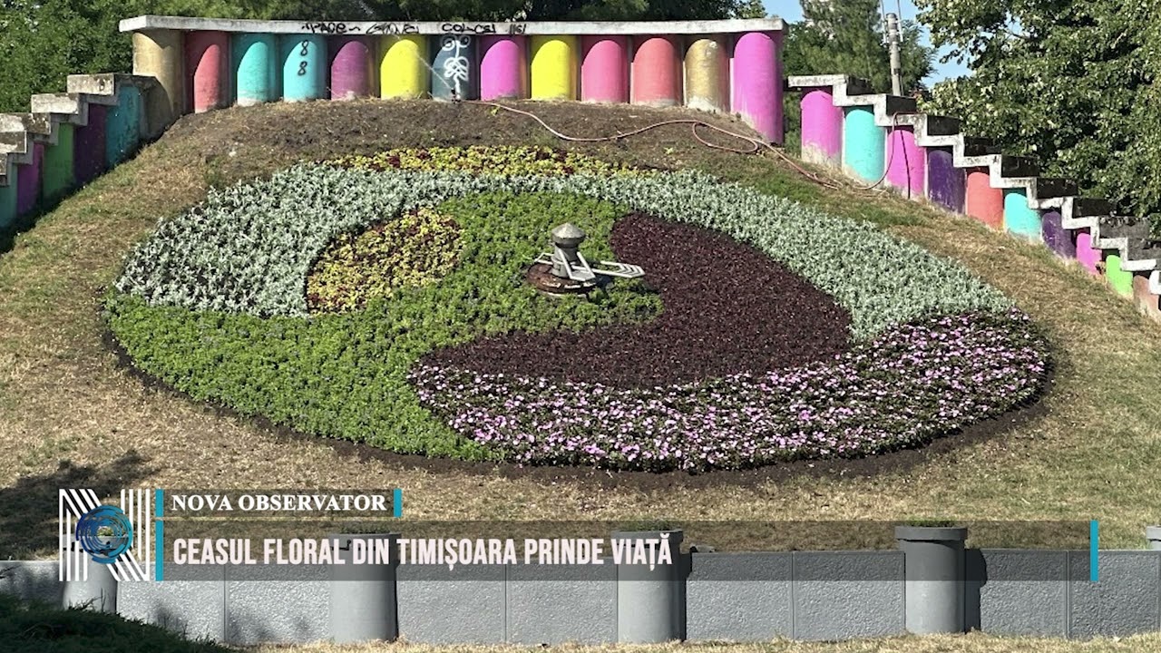CEASUL FLORAL DIN TIMIȘOARA PRINDE VIAȚĂ