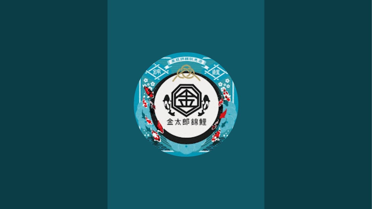 【金太郎錦鯉】緊急事態発生‼️