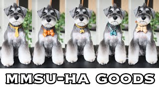 mmsu-haレザーネックレス迷子札×ミニチュアシュナウザー