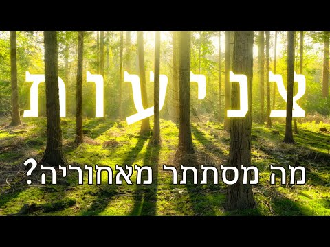 וִידֵאוֹ: מה המשמעות של צנוע?