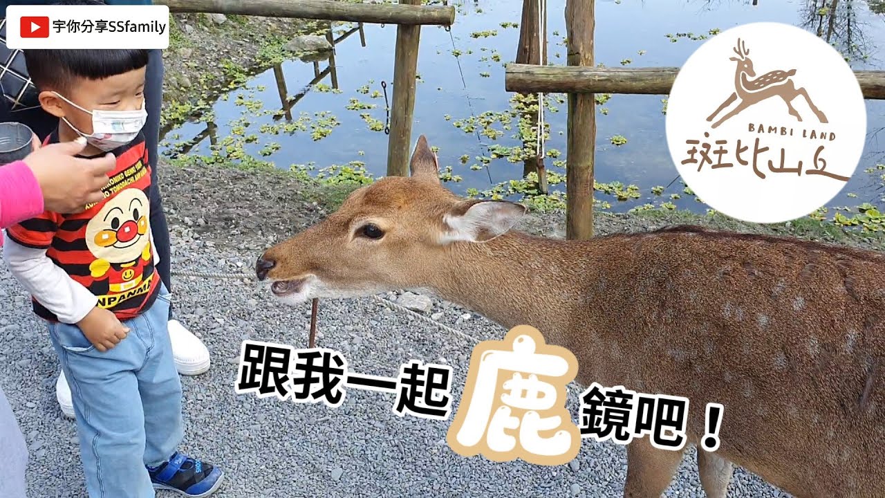 【景點】親近大自然的梅花鹿園區 斑比山丘 宜蘭景點推薦 跟小鹿近距離互動 最佳親子景點推薦 冬山小奈良| 宇你分享 SS family