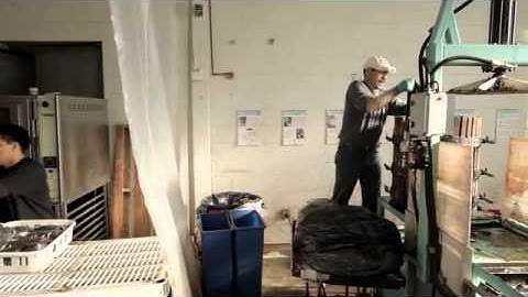 Good Biztopia Entrepreneurs: Back to the Roots