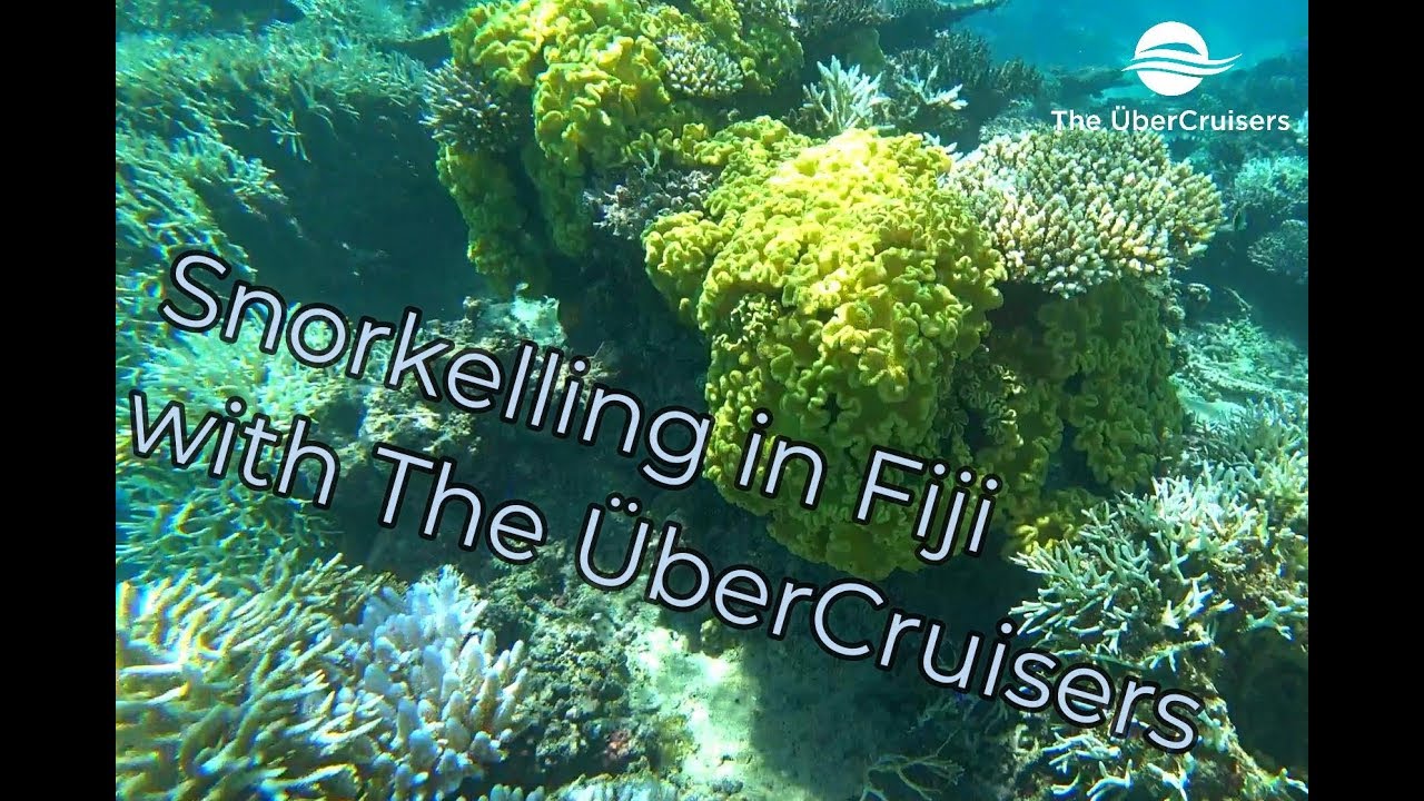 Fiji Snorkelling Trip Momi Bay 2019 Youtube