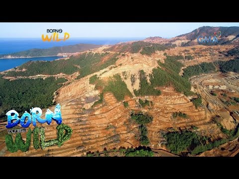 Video: Ano ang epekto ng deforestation sa lipunan?