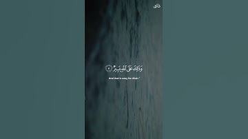سورة التغابن #Quran #quranicverse #تلاوات#explore #اكسبلور