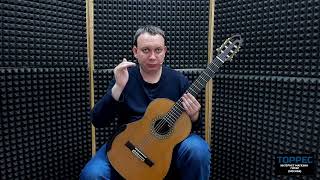 Мастеровая гитара А. Кошелева D1B 2020 обзор Ю. Алешникова