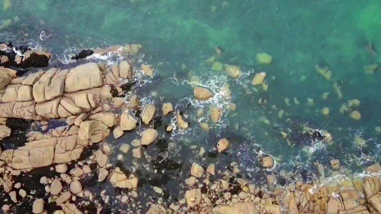 P.l.a.g.e. d.e.s. C.h.a.r.d.o.n.s B.l.e.u.s. Bis