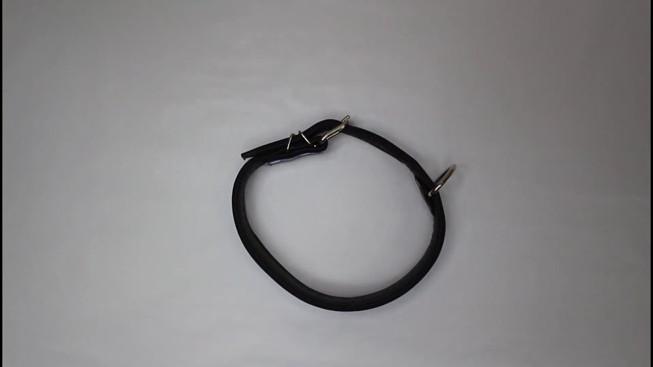 Blue Leather Dog Collar with Black Padding Personalized with Embossing