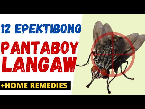 12 Effective PANTABOY / PAMATAY LANGAW | Paano MAWALA ang LANGAW sa BAHAY| Anti Langaw Home Remedies