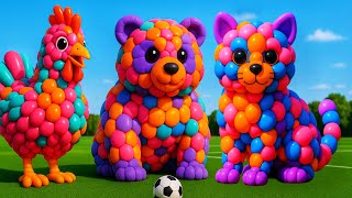 The Mascot Vibrato Assistant Dog Placed On The Football Field Is Popular, Co-Produced, And Creative.