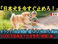 【海外の反応】「日本犬は何してるんだ！？」オランダの社会実験で撮られた秋田犬の動画が4000万再生され全世界で絶賛の嵐が…