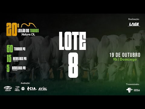 LOTE 8 A6142 PO - 20º Leilão de Touros Nelore OL
