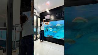 This little Girl tries to Feed a giant Predator fish 🐟❤️