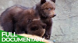 Baby Animals Discovering Their World | Episode 1 | Free Documentary Nature Wealth