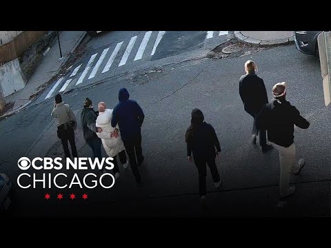 Rumeysa Ozturk, Tufts student, detained; video shows masked people handcuffing her