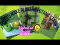 how to make planter pot and stand ideas 💡#diy #bestoutofwaste #diyideas #wastematerialcraft