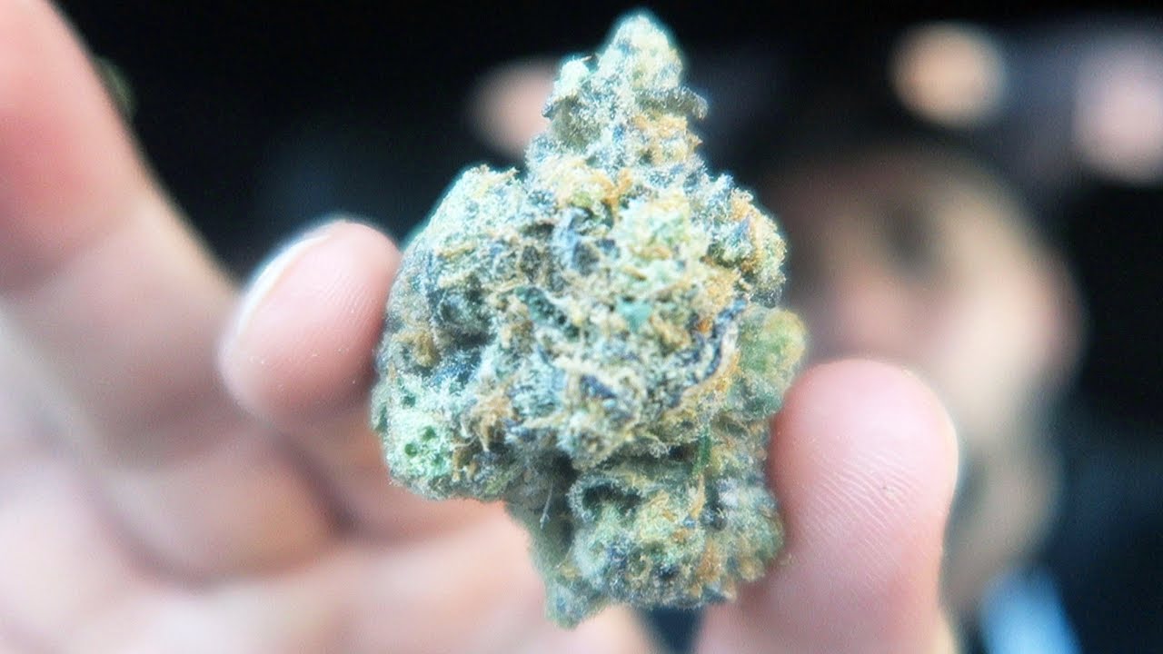 CHERRY CHEESECAKE JOINT SESH!!! (FUNNY SURPRISE)