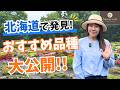 【北海道フィールドトライアル2026】思わず欲しくなった…種苗メーカーさんイチオシの品種をご紹介!そらベジさんや花農家ゆうきさんともお会いしました♪