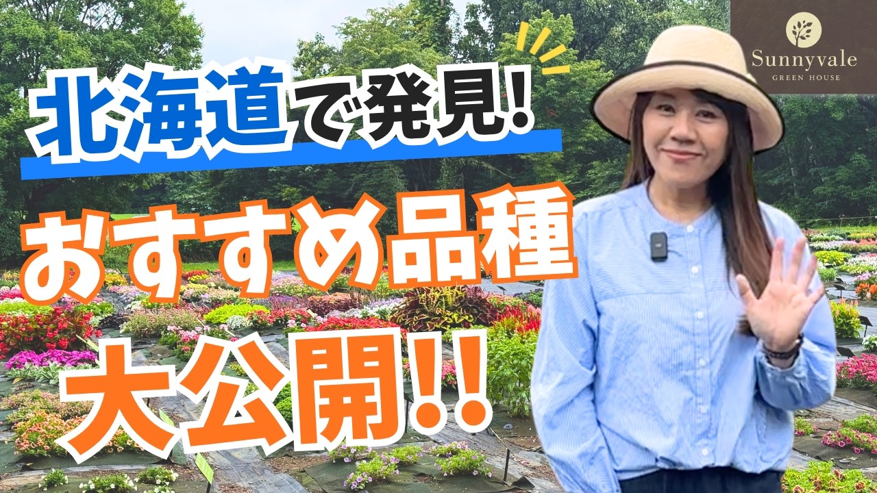 【北海道フィールドトライアル2026】思わず欲しくなった…種苗メーカーさんイチオシの品種をご紹介!そらベジさんや花農家ゆうきさんともお会いしました♪