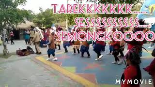 TARIK SIS SEMONGKO|STORY WA GOYANG POCO-POCO VERSI SEMONGKO