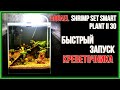 Запуск креветочника на 30 литров. AQUAEL SHRIMP SET SMART PLANT II 30.