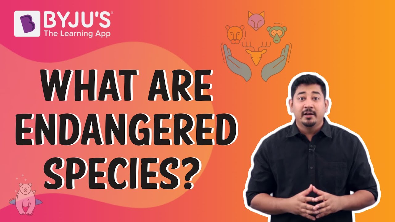 Endangered Species - BYJU'S