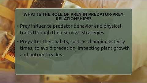 What Is The Role Of Prey In Predator-prey Relationships? - Ecosystem Essentials