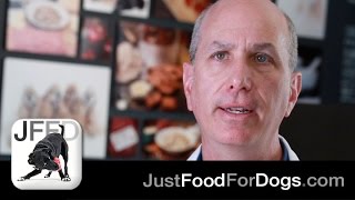 Can Dogs Eat Onions and Garlic? feat. Dr. John Tegzes, VMD | JustFoodForDogs Is Mustard Poisonous For Dogs