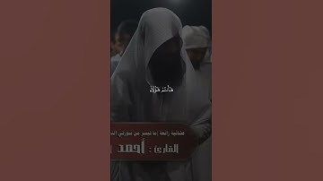 أحمد حمادي | سورة النساء #المصحف #احمد_حمادي #سوره_النساء