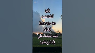 تلاوة مؤثرة من سورة هود الآية 10 │ بصوت خاشع يلامس القلوب