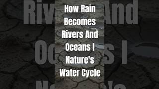 How Rain Becomes Rivers and Oceans | Nature's Water Cycle @shobhakatpally#rain #lakes #puddles
