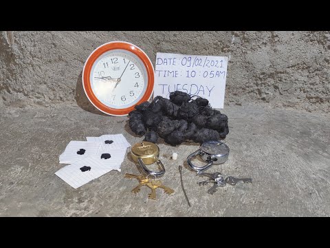 Kali Haldi Black Turmeric