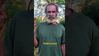 JAWA, SULAWESI, KALIMANTAN DAN SUMATERA WAJIB NONTON FILIM PESTA BABI #pestababi