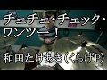 【和田たけあき(くらげP)】チェチェ・チェック・ワンツー!【叩いてみた】
