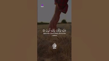 تلاوة نادرة جدًا من الشيخ عبدالله مصطفى تهدي الأرواح وتضيء القلوب ✨