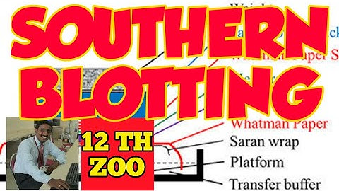 SOUTHERN BLOTTING - TAMIL EXPLANATION