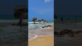 Stilt Fishing in Sri Lanka screenshot 2