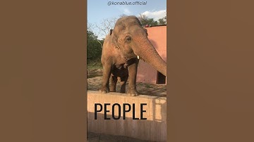 setting boundaries #shorts #motivation