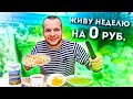 КАК ПРОЖИТЬ ВСЮ НЕДЕЛЮ НА 0 РУБЛЕЙ?!