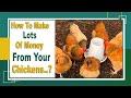 How To Make Lots Of Money From Your Chickens 🤑🤑🤑