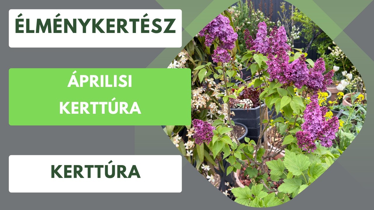 A tartós mínusz hatása a kertre🏡