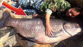 Самая большая в мире пойманная Рыба # Белый Амур 89 кг