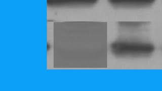 E35CB44A7A79E69C132235794025C8#1