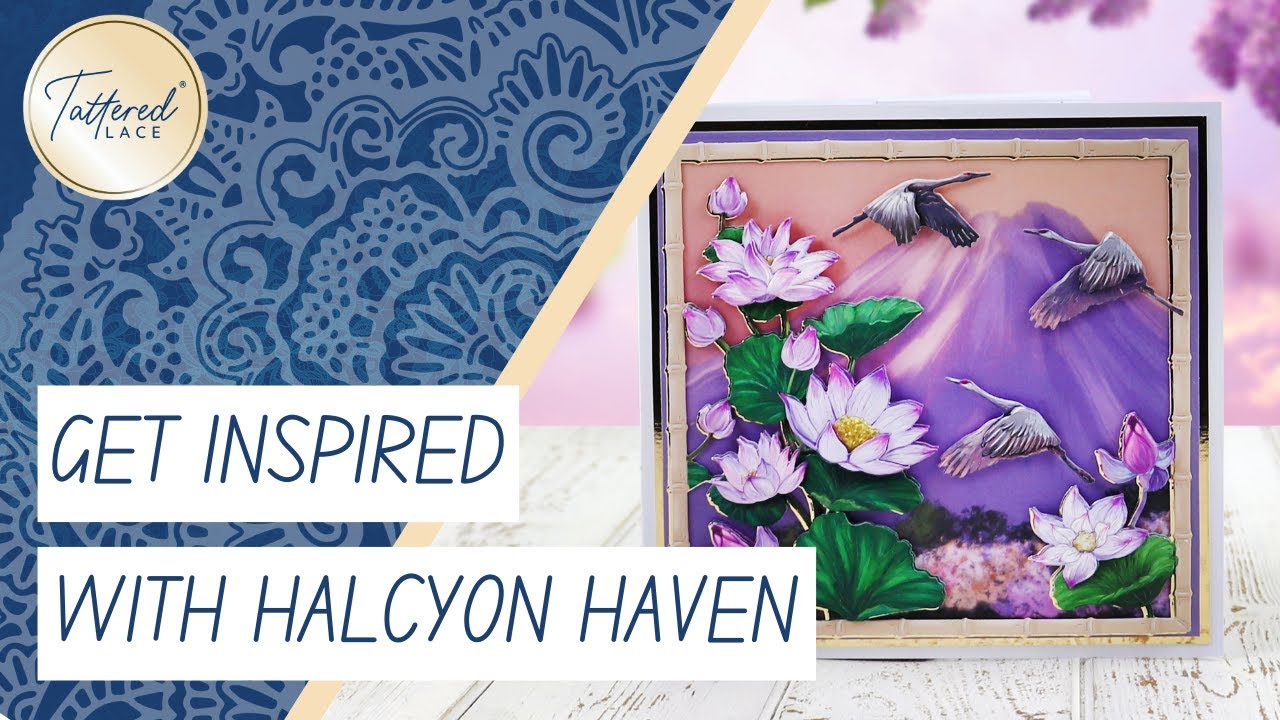 Tattered Lace - Halcyon Haven