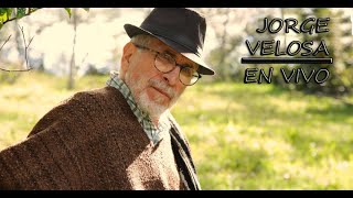 Video thumbnail of "PONGALE CARIÑO AL MONTE - JORGE VELOSA"