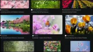 Spring #meme #memes