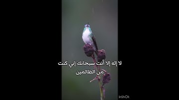 تلاوة خاشعة القاري نور الدين سليم/طبيعة وطيور(لا إله إلا الله محمد رسول الله)