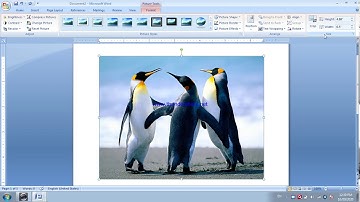 Class 10 Computer WORD PROCESSING VEDIOS SESSION 8