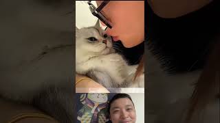 ニンニク強すぎて、猫の世界グルグルニャ 