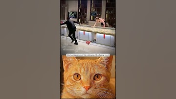 Give this video a title (wrong answers only) #cat #meme #funny